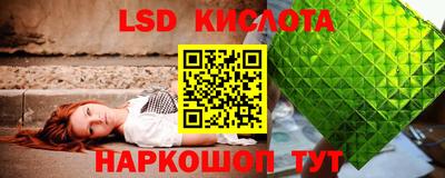 PSILOCYBIN Нальчик