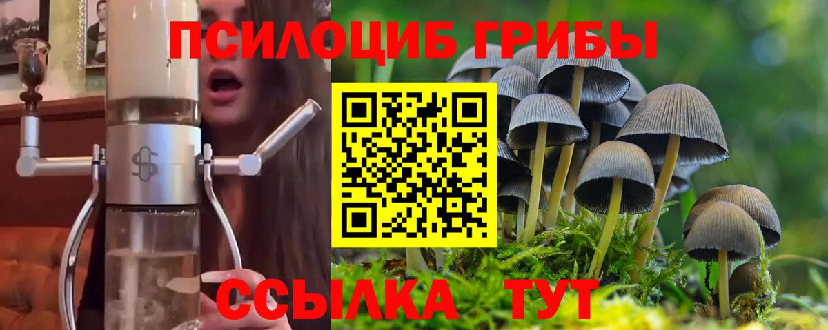 закладка  Вход с VPN  Таганрог  Галлюциногенные грибы MAGIC MUSHROOMS 